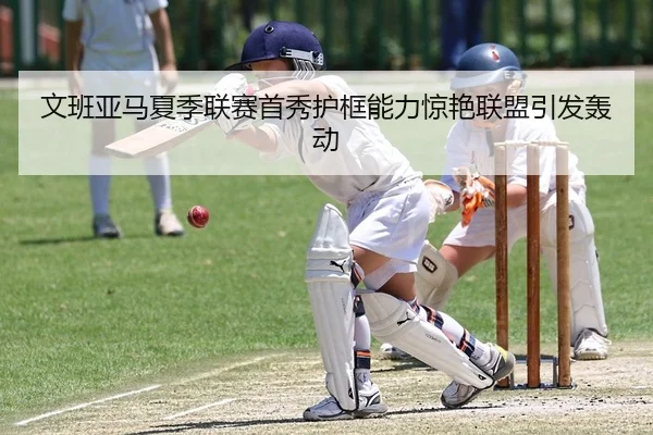 文班亚马夏季联赛首秀护框能力惊艳联盟引发轰动